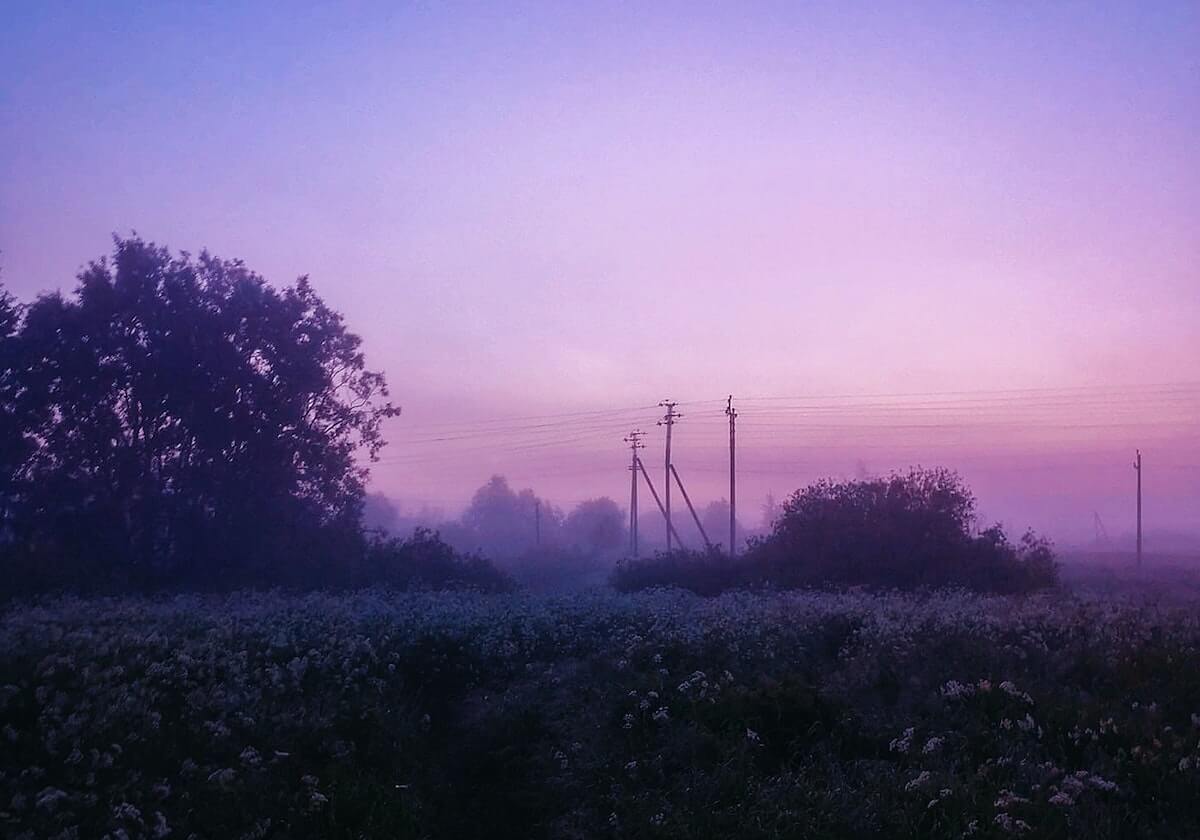 KT击败T1赛后，上单PerfecT面对镜头庆祝胜利